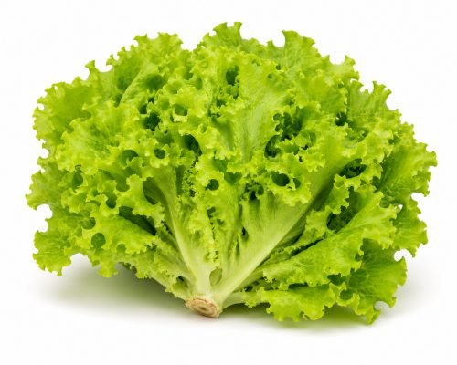 Lechuga Criolla
