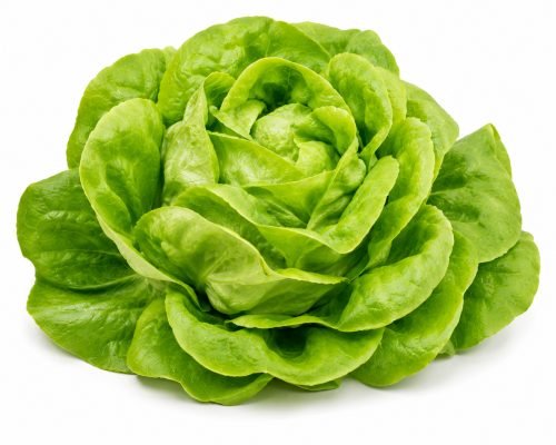 Lechuga Mantecosa