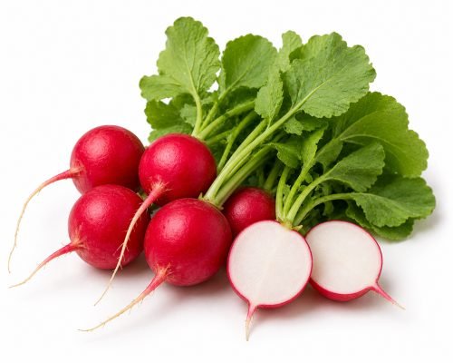 Rabanito